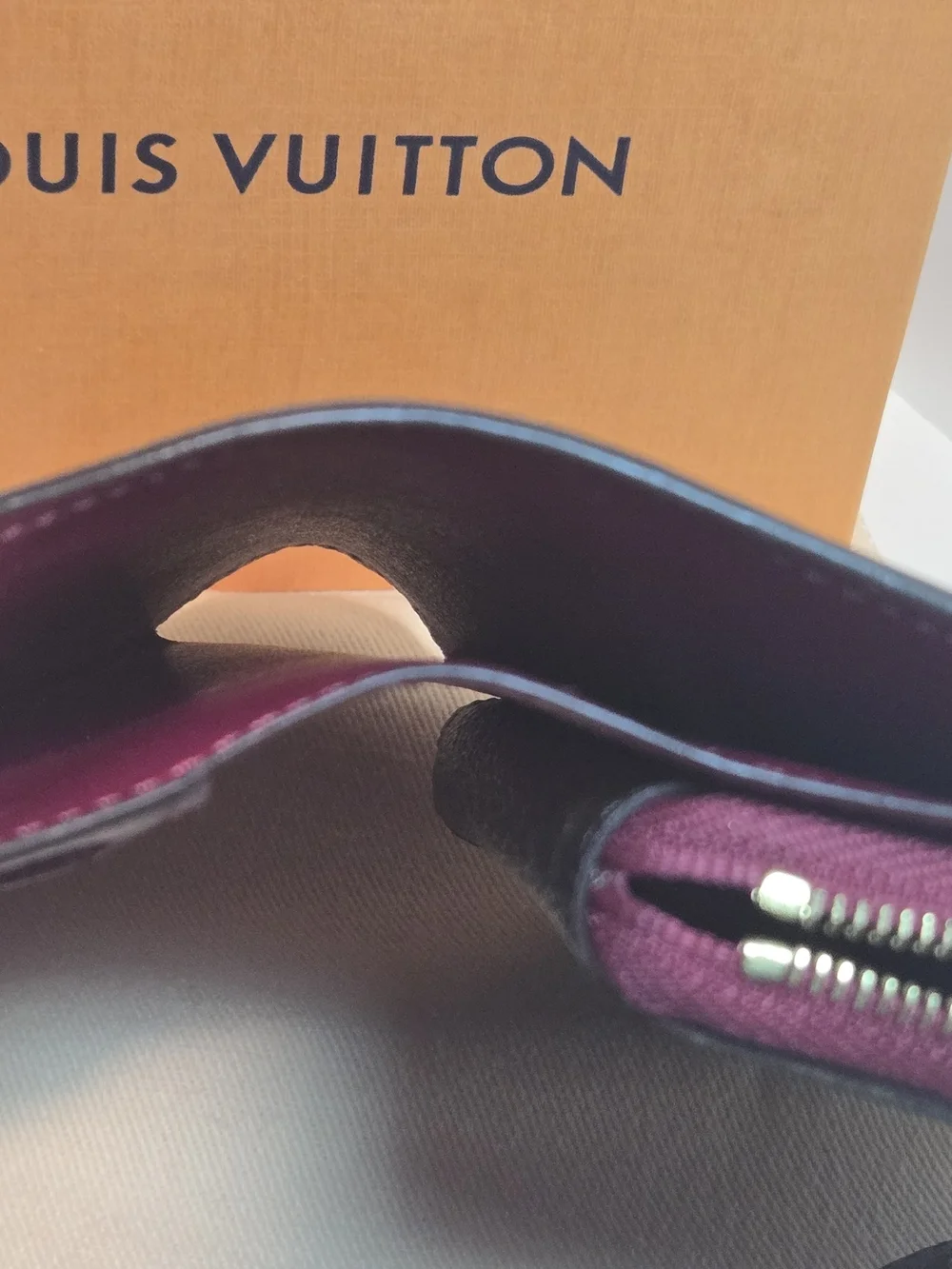 Louis Vuitton luxury louis